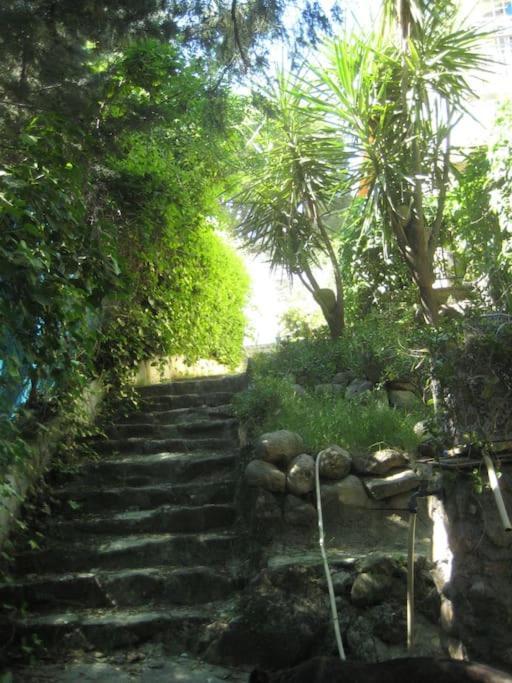 La Rocalla Del Tietar Villa Sotillo de la Adrada Exterior foto